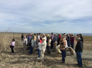 Bus tour stop #2: The Salt River Estuary